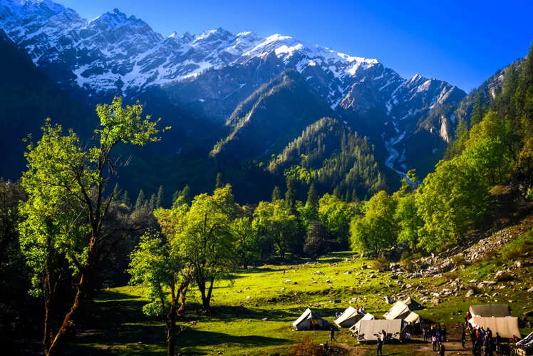 A scenic campsite in the lush green valleys of Himachal Pradesh with snow-capped mountains in the background