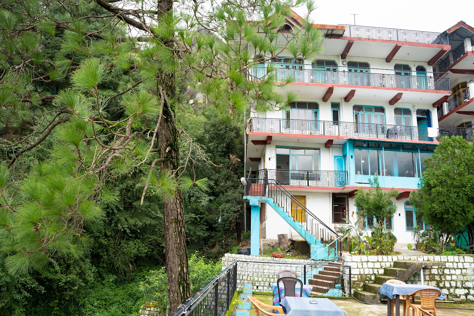 Albela House Hotel in McLeodganj, Dharamshala, offering budget-friendly accommodation surrounded by greenery