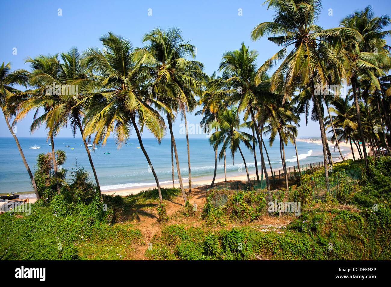 Palm trees along the pristine coastline of Candolim Beach in North Goa, showcasing one of India's popular beach tourist destinations