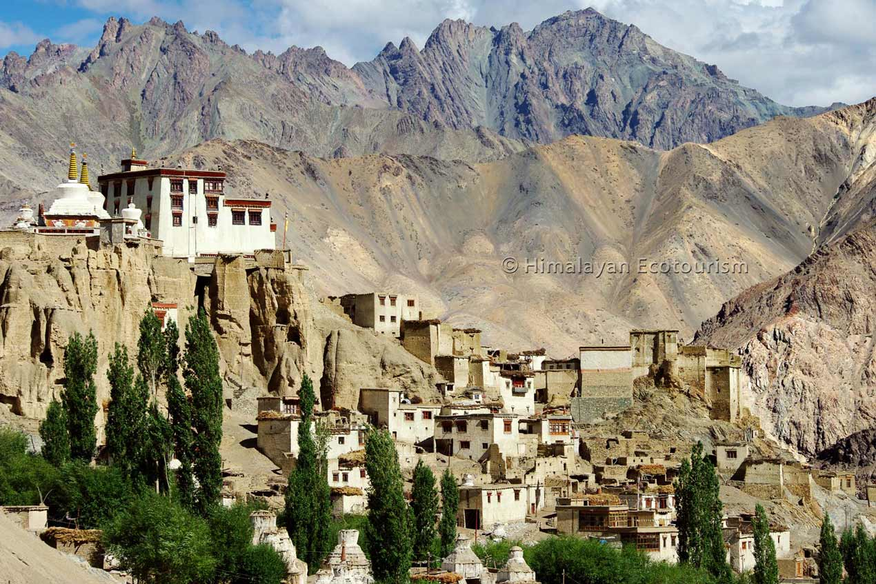 Buddhist monastery in the mountains of Ladakh, India, showcasing the region's unique cultural and natural beauty