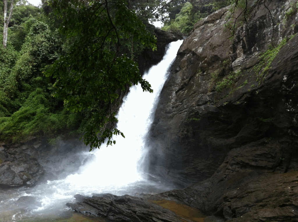 Soochipara Falls in Wayanad, Kerala, showcasing the natural beauty of the Western Ghats and a popular waterfall destination for first-time travelers
